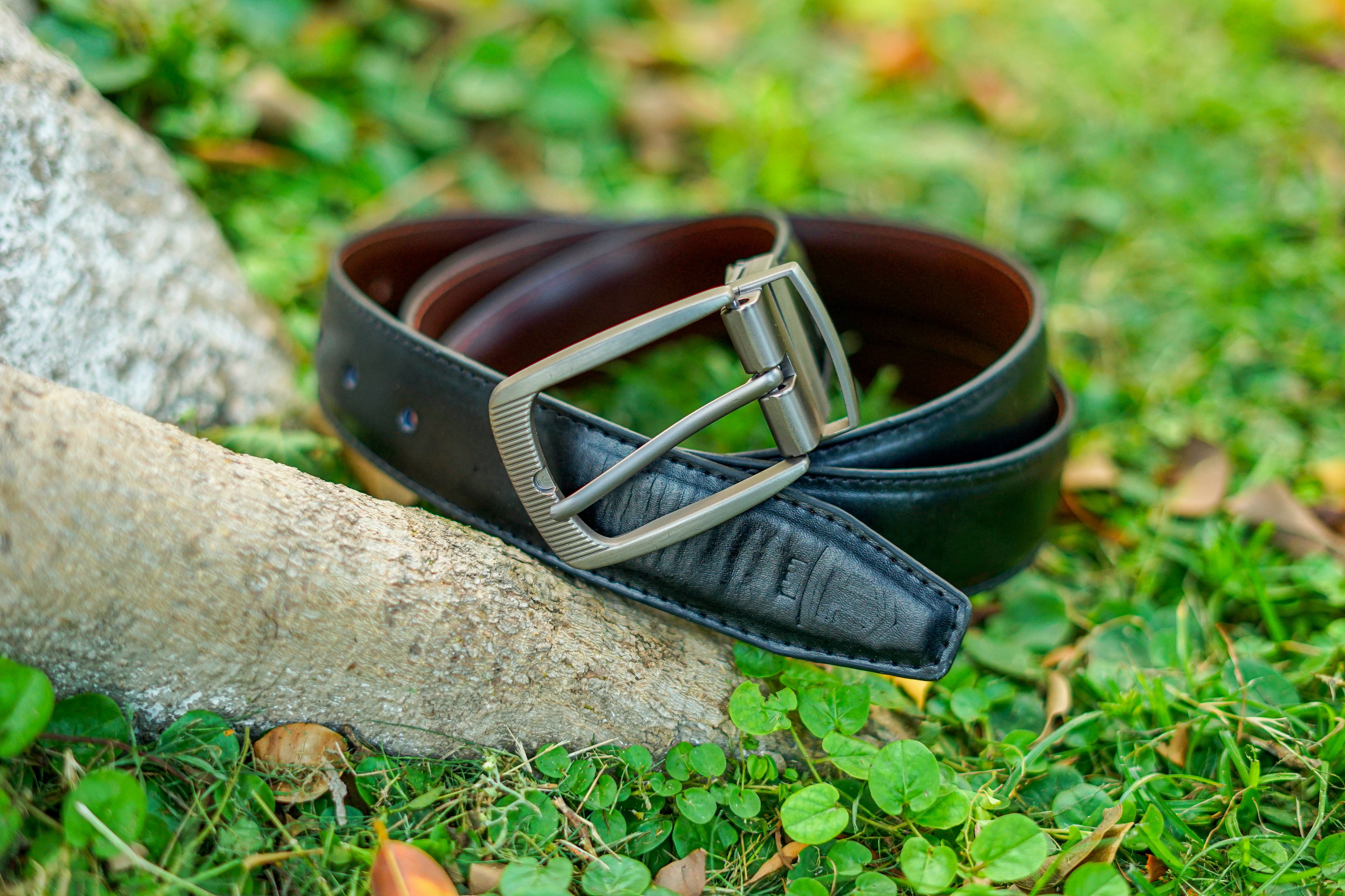 Dark Brown and Black belt