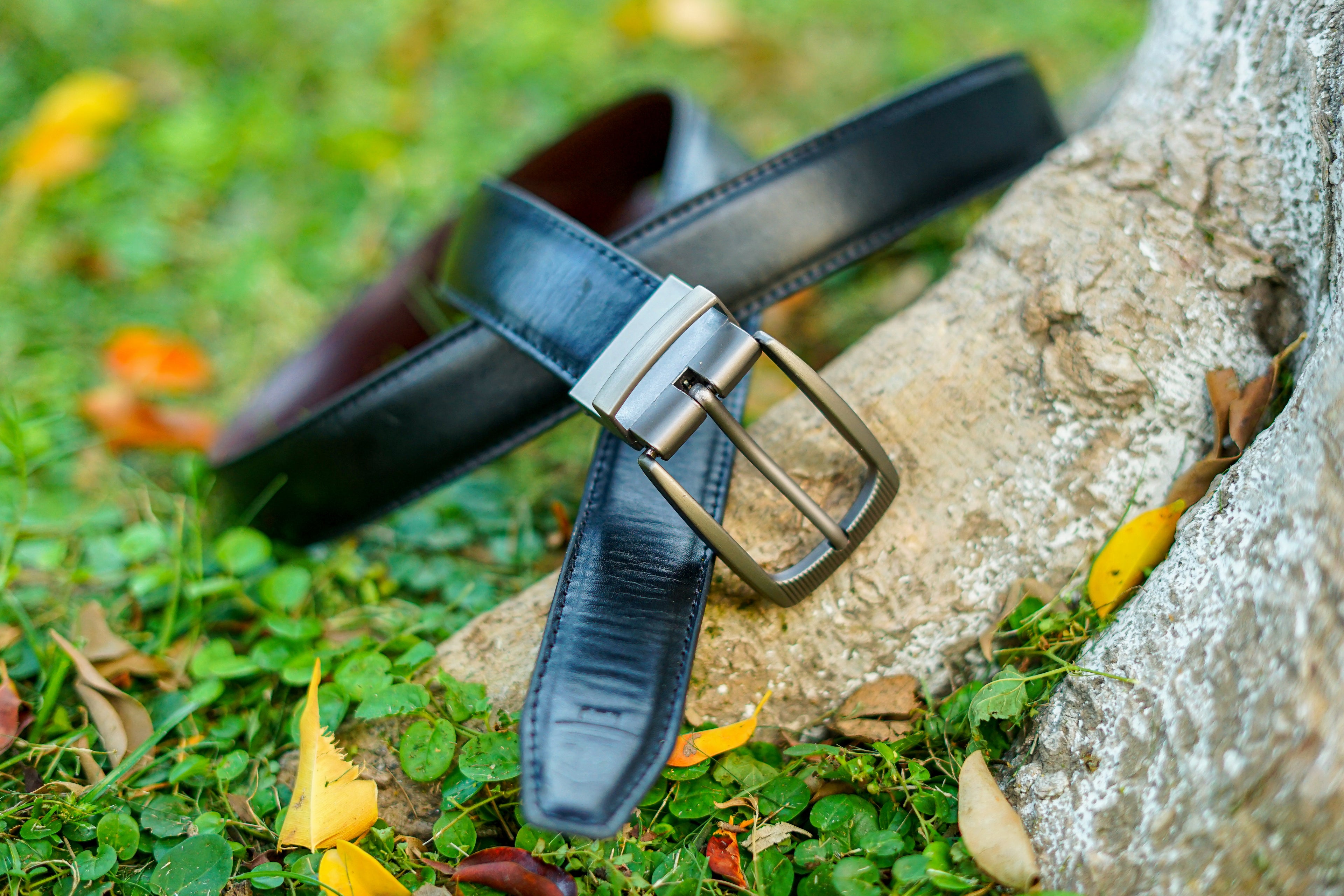 Dark Brown and Black belt