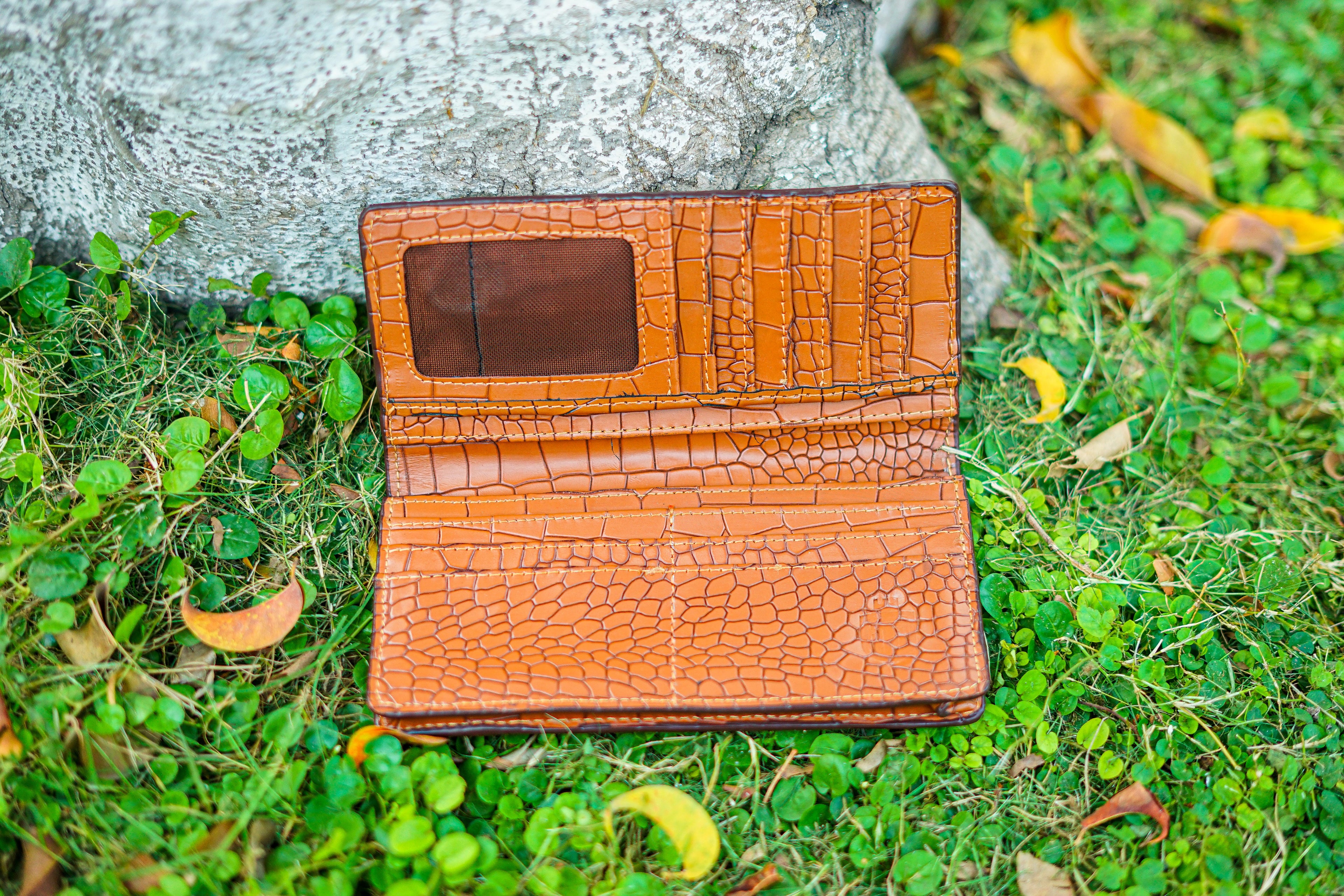 Light Brown Wallet