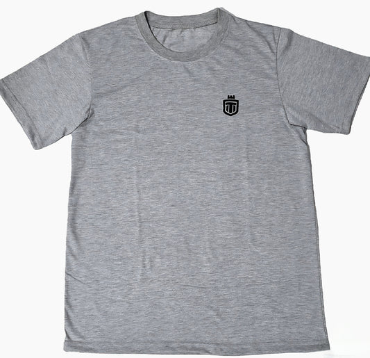 Ash Grey tee-Shirt